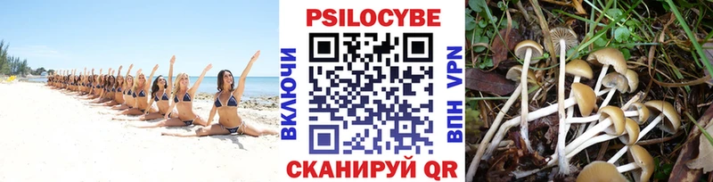 купить наркотики сайты  Ак-Довурак  Галлюциногенные грибы мухоморы 